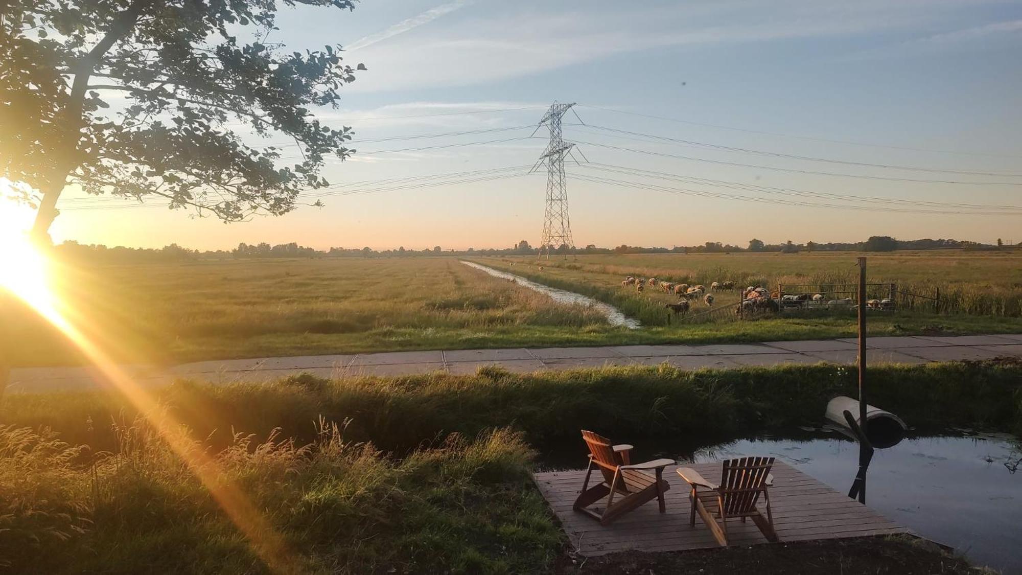 Tinyhouse Ochtendgloren Haastrecht